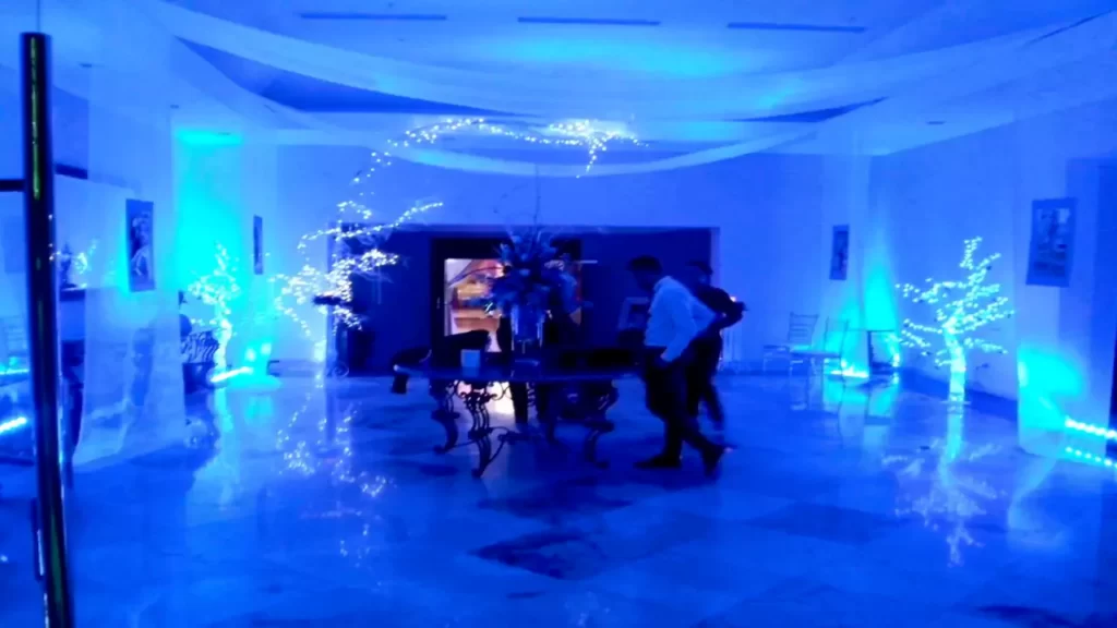 luces para bodas decoracion